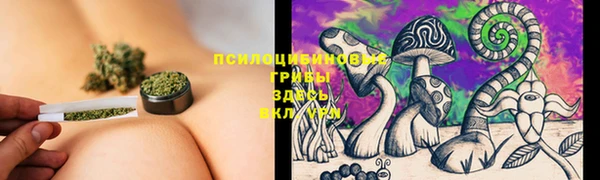 бошки Балахна